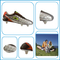Hot selling Men outdoor soccer shoes football shoes sport Wholesale shoes